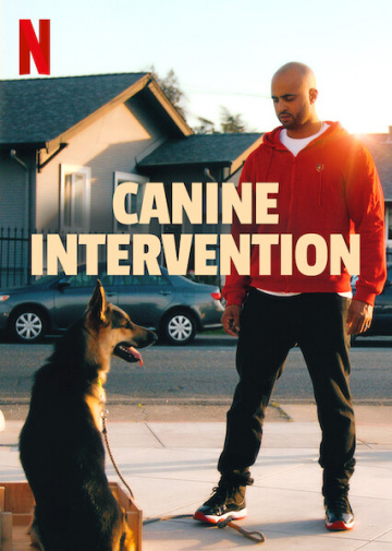 Canine Intervention SAISON 1