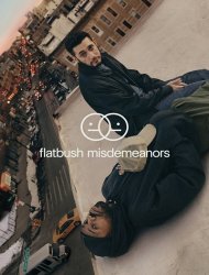 Flatbush Misdemeanors SAISON 1