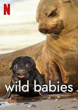 Wild Babies : Petits et Sauvages SAISON 1